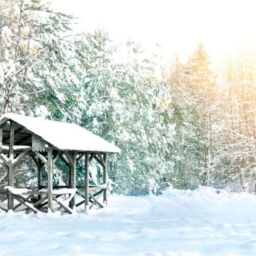 houten huis bedekt met geschaalde sneeuw